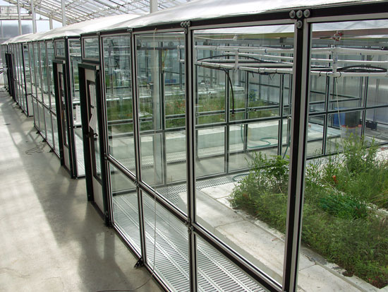 ecocells