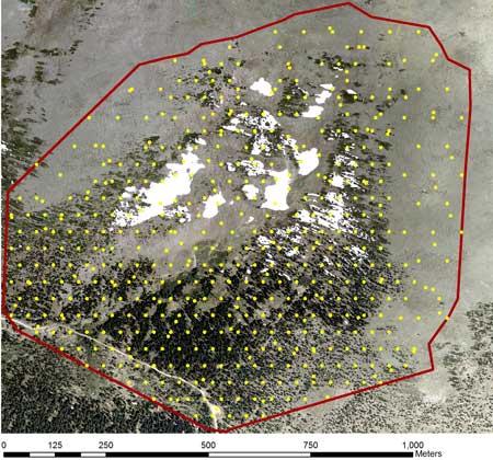 Snow sampling points