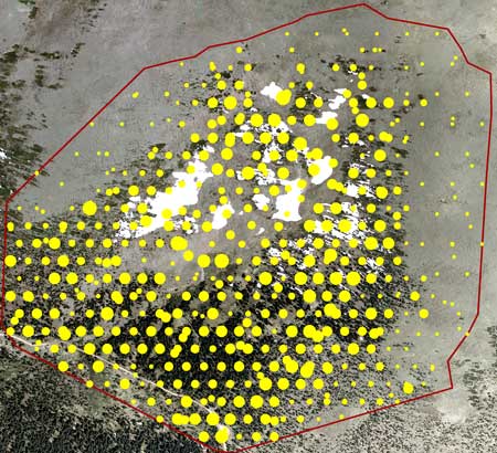snow_results_aerial.jpg