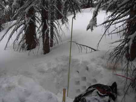 snowpit.jpg